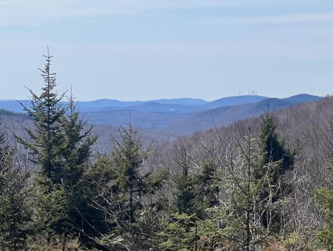 13 Moose Alley Road Temple ME 04984