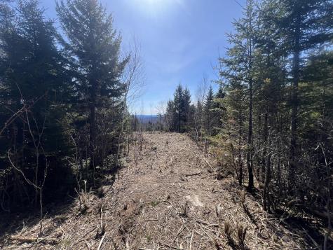 13 Moose Alley Road Temple ME 04984