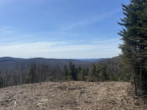 13 Moose Alley Road Temple ME 04984