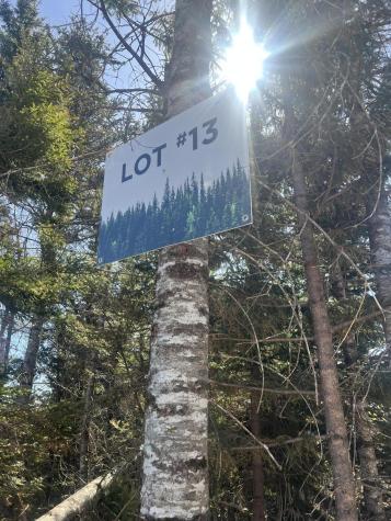 13 Moose Alley Road Temple ME 04984