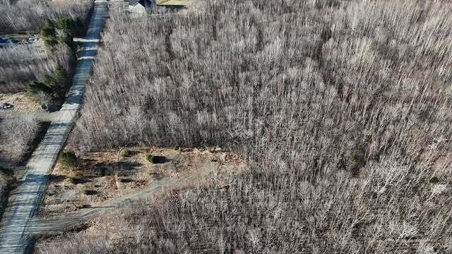 Lot 69 Grand View Drive Dedham ME 04429