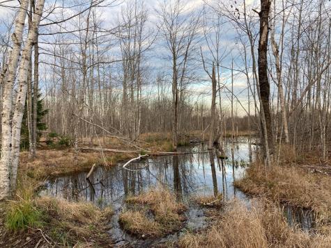 Lot 13-1 W. Mcmann & Meadow Roads Addison ME 04606