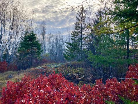 Lot 13-1 W. Mcmann & Meadow Roads Addison ME 04606