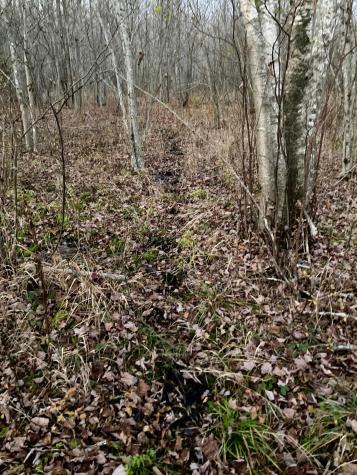 Lot 13-1 W. Mcmann & Meadow Roads Addison ME 04606