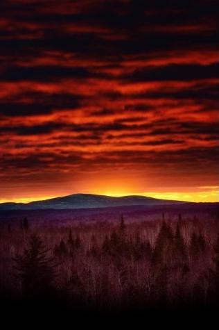 Lot 13-1 W. Mcmann & Meadow Roads Addison ME 04606