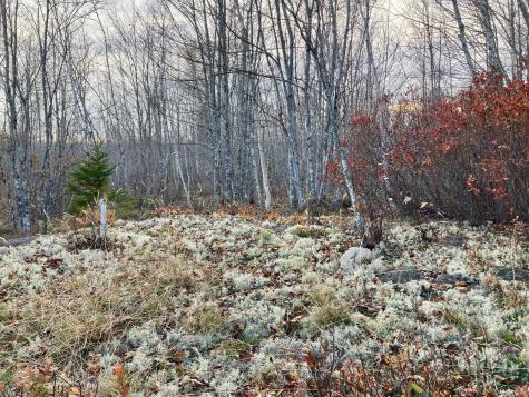 Lot 13-1 W. Mcmann & Meadow Roads Addison ME 04606