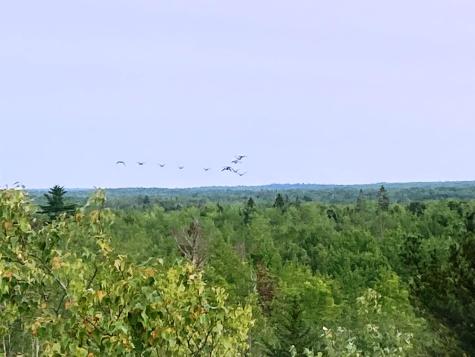 Lot 13-1 W. Mcmann & Meadow Roads Addison ME 04606