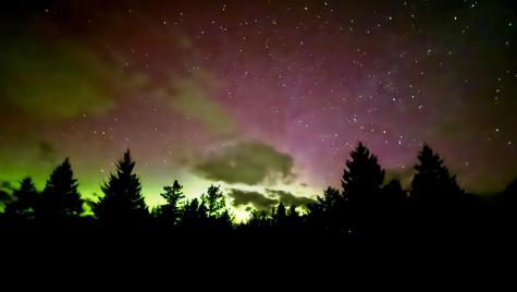 Lot 13-1 W. Mcmann & Meadow Roads Addison ME 04606