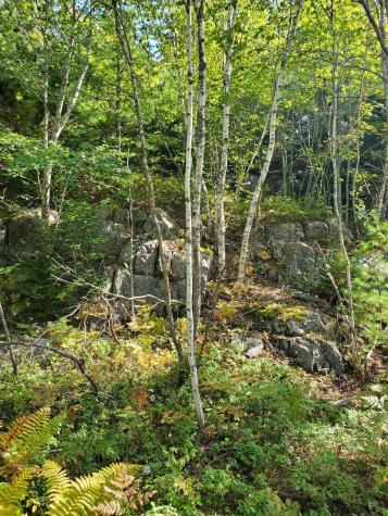 Lot 13-1 W. Mcmann & Meadow Roads Addison ME 04606