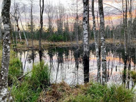 Lot 13-1 W. Mcmann & Meadow Roads Addison ME 04606