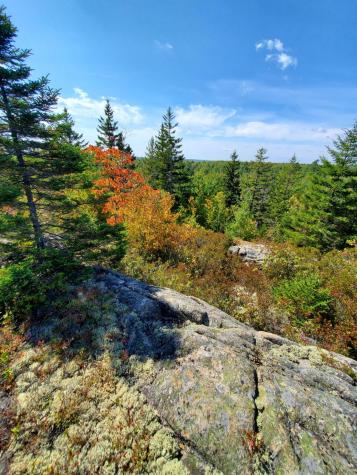 Lot 13-1 W. Mcmann & Meadow Roads Addison ME 04606