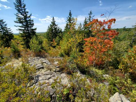 Lot 13-1 W. Mcmann & Meadow Roads Addison ME 04606