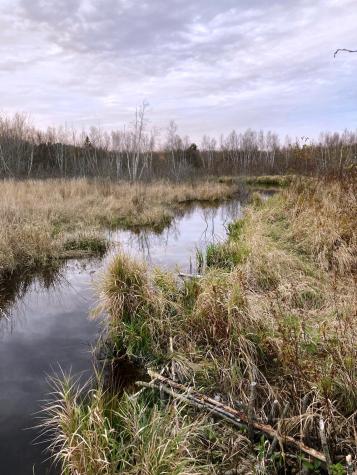 Lot 13-1 W. Mcmann & Meadow Roads Addison ME 04606