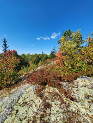 Lot 13-1 W. Mcmann & Meadow Roads Addison ME 04606