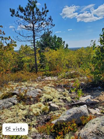 Lot 13-1 W. Mcmann & Meadow Roads Addison ME 04606