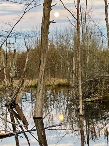 Lot 13-1 W. Mcmann & Meadow Roads Addison ME 04606