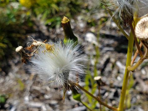 Lot 13-1 W. Mcmann & Meadow Roads Addison ME 04606