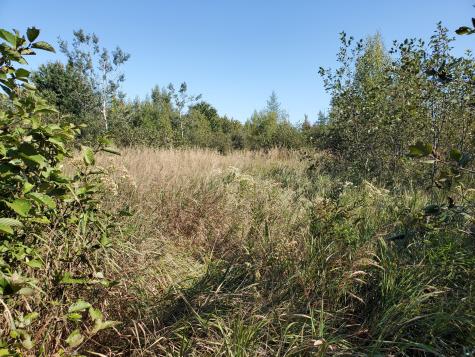 Lot 13-1 W. Mcmann & Meadow Roads Addison ME 04606