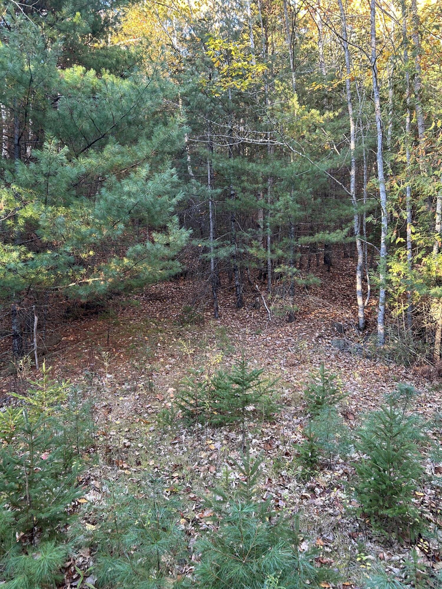M15 L23 Varnumville Road Brooksville ME 04617