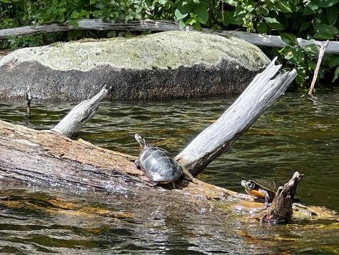 52 Blake Island Oakland ME 04963