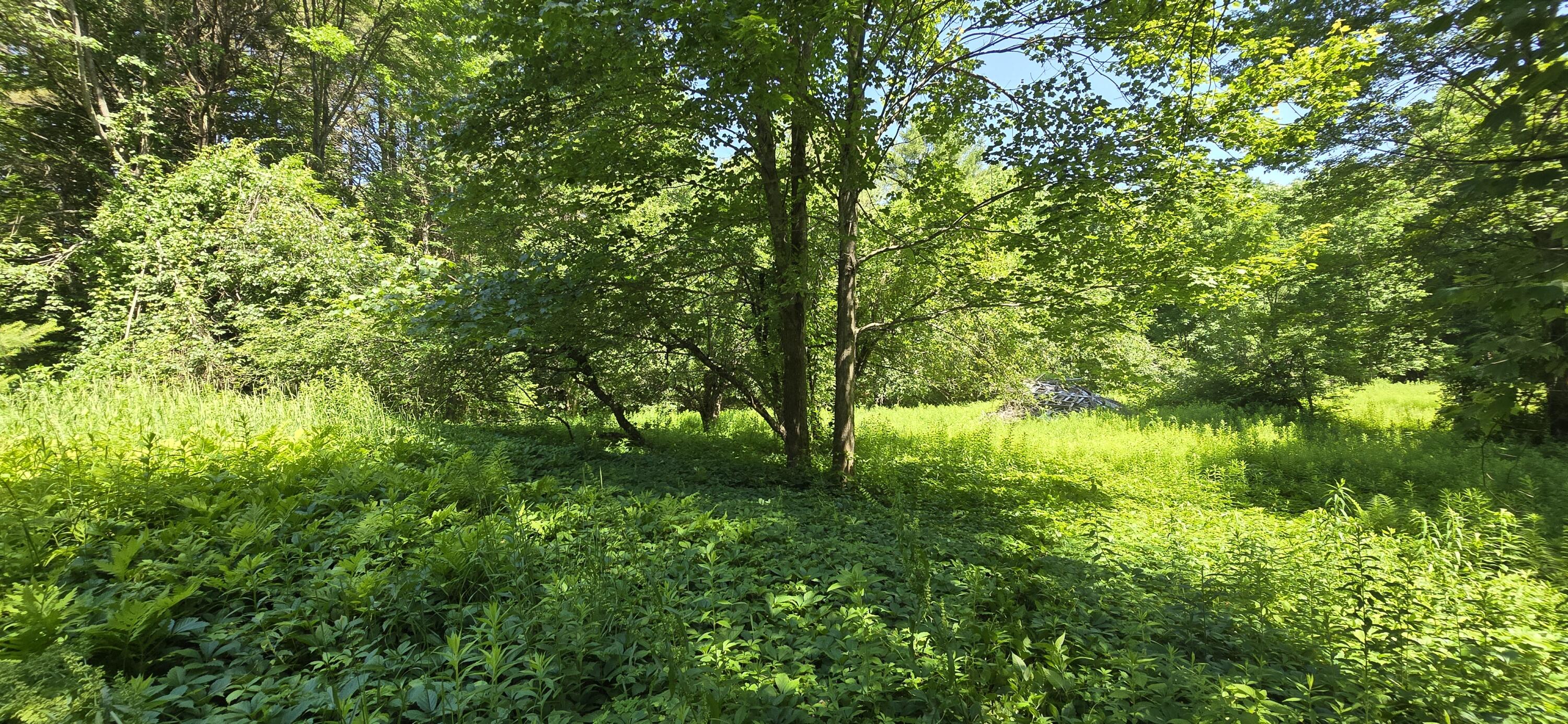 16-2 Wilson Road Gorham ME 04038