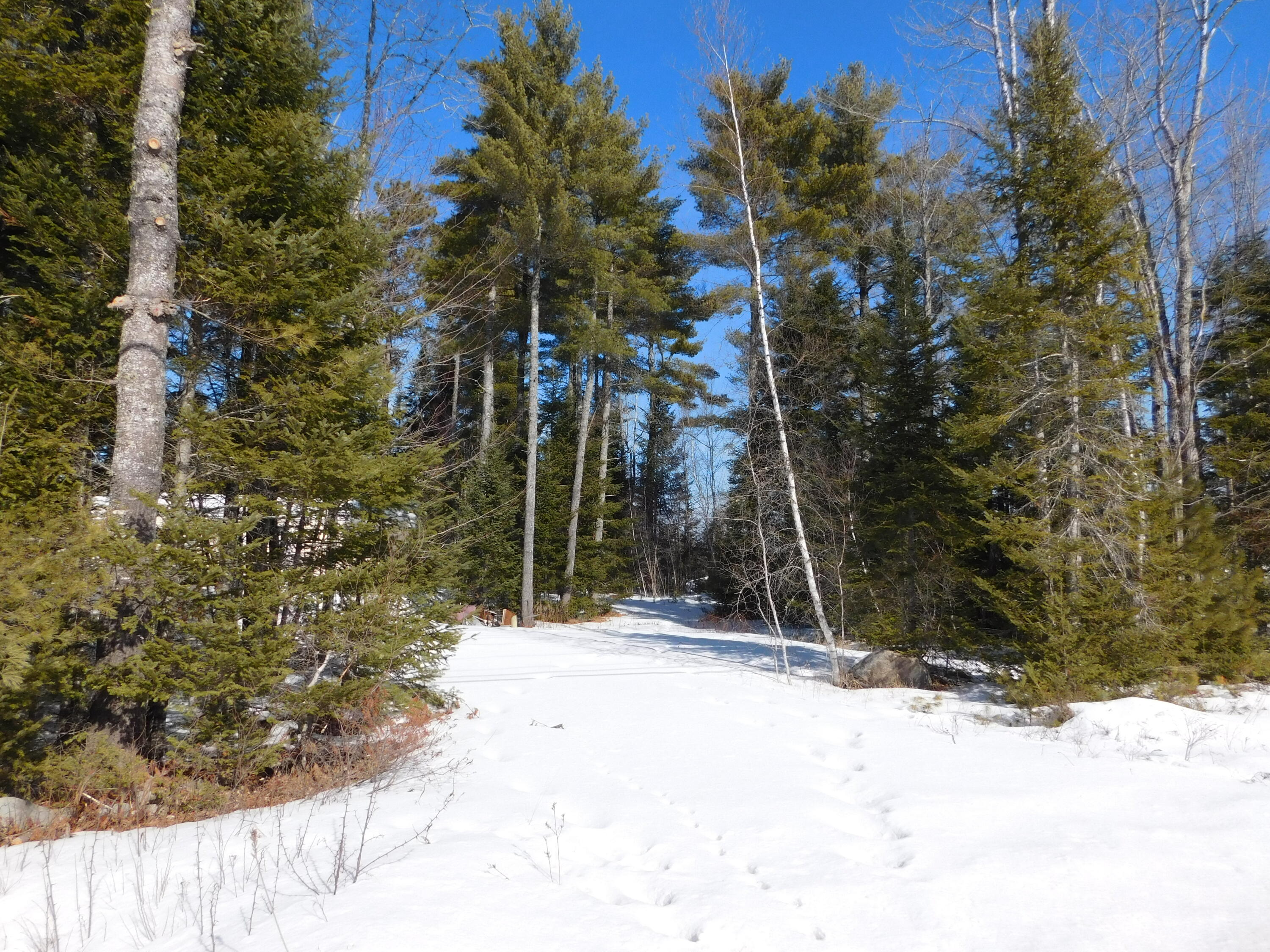 638 Greenfield Road Greenbush ME 04418