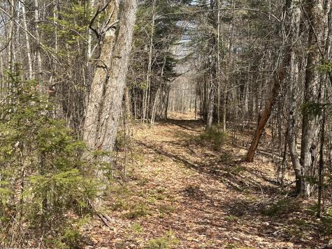 Lot 2 Filaroska Road New Sharon ME 04955