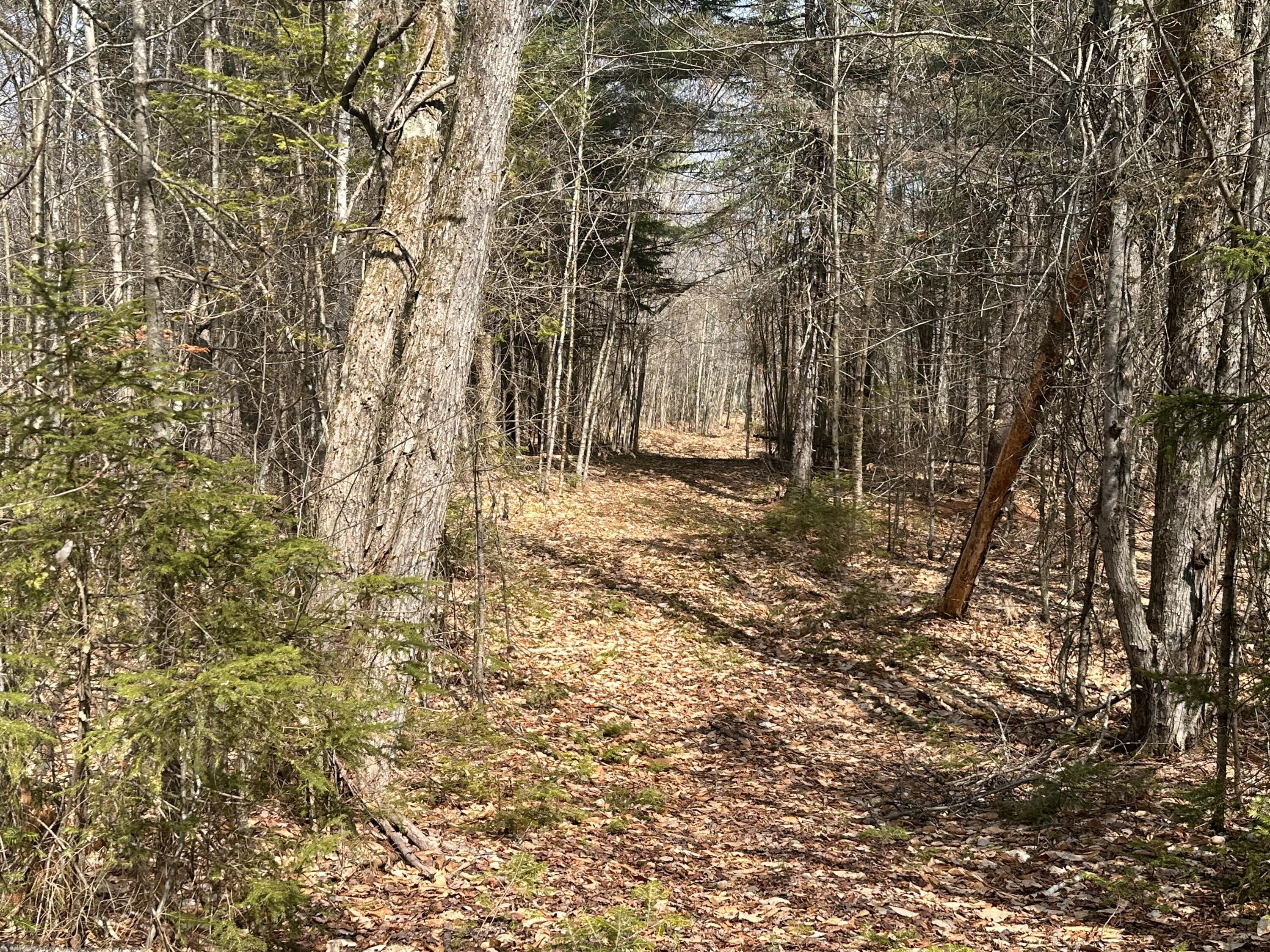Lot 2 Filaroska Road New Sharon ME 04955