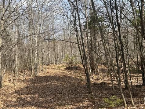 Lot 2 Filaroska Road New Sharon ME 04955