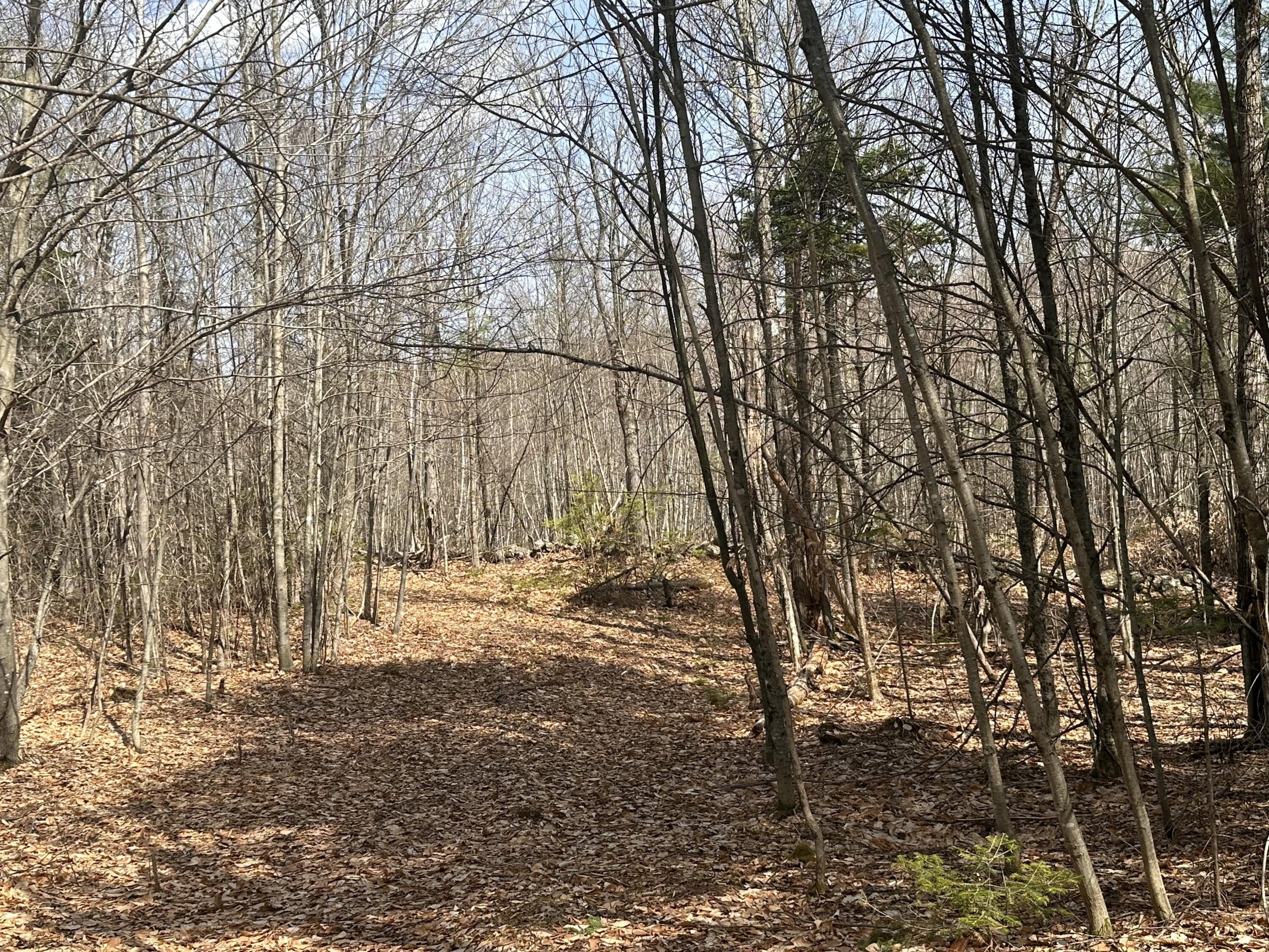 Lot 2 Filaroska Road New Sharon ME 04955