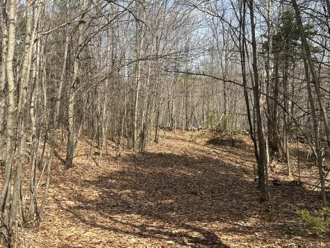 Lot 2 Filaroska Road New Sharon ME 04955