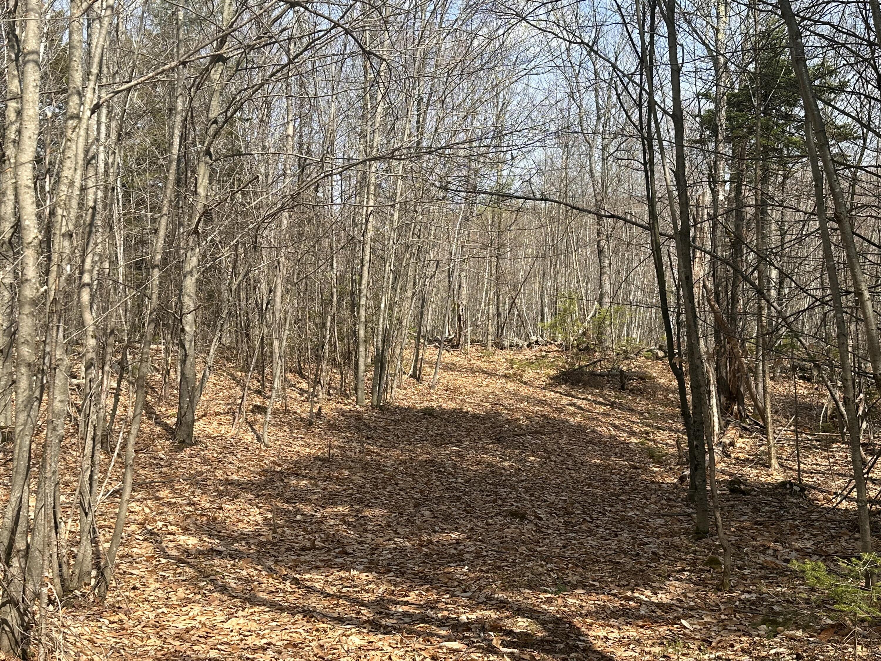 Lot 2 Filaroska Road New Sharon ME 04955