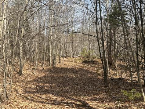 Lot 2 Filaroska Road New Sharon ME 04955