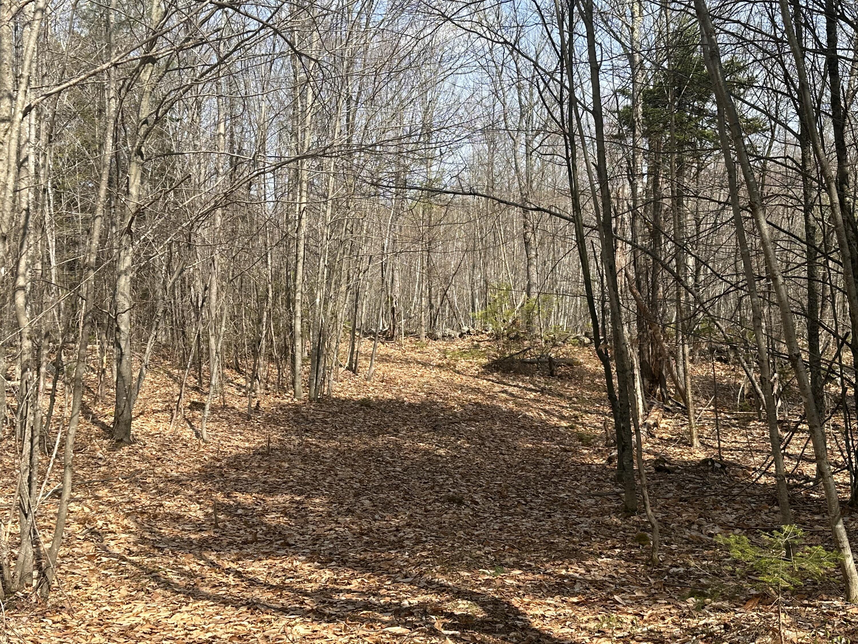 Lot 2 Filaroska Road New Sharon ME 04955