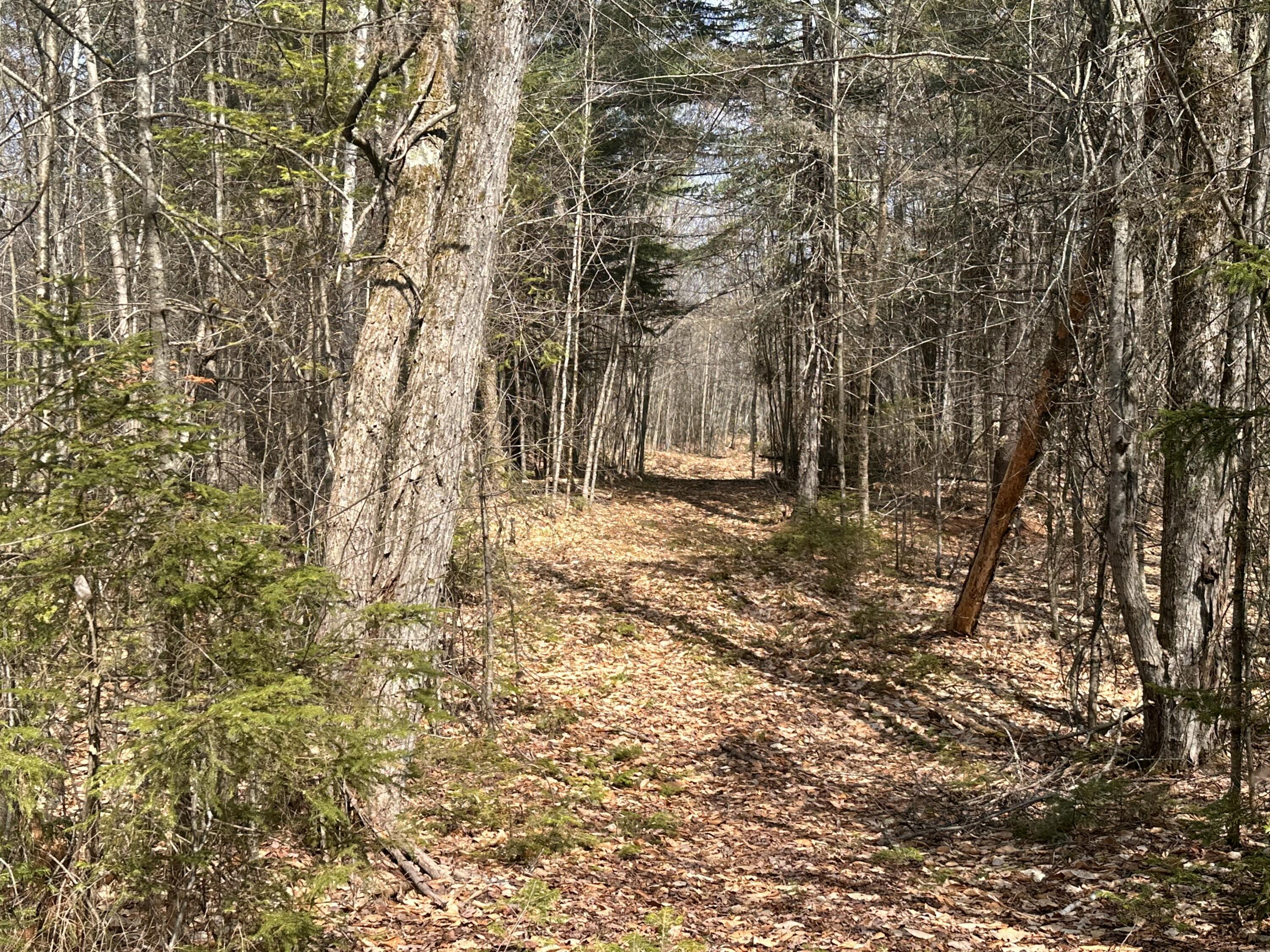 Lot 2 Filaroska Road New Sharon ME 04955