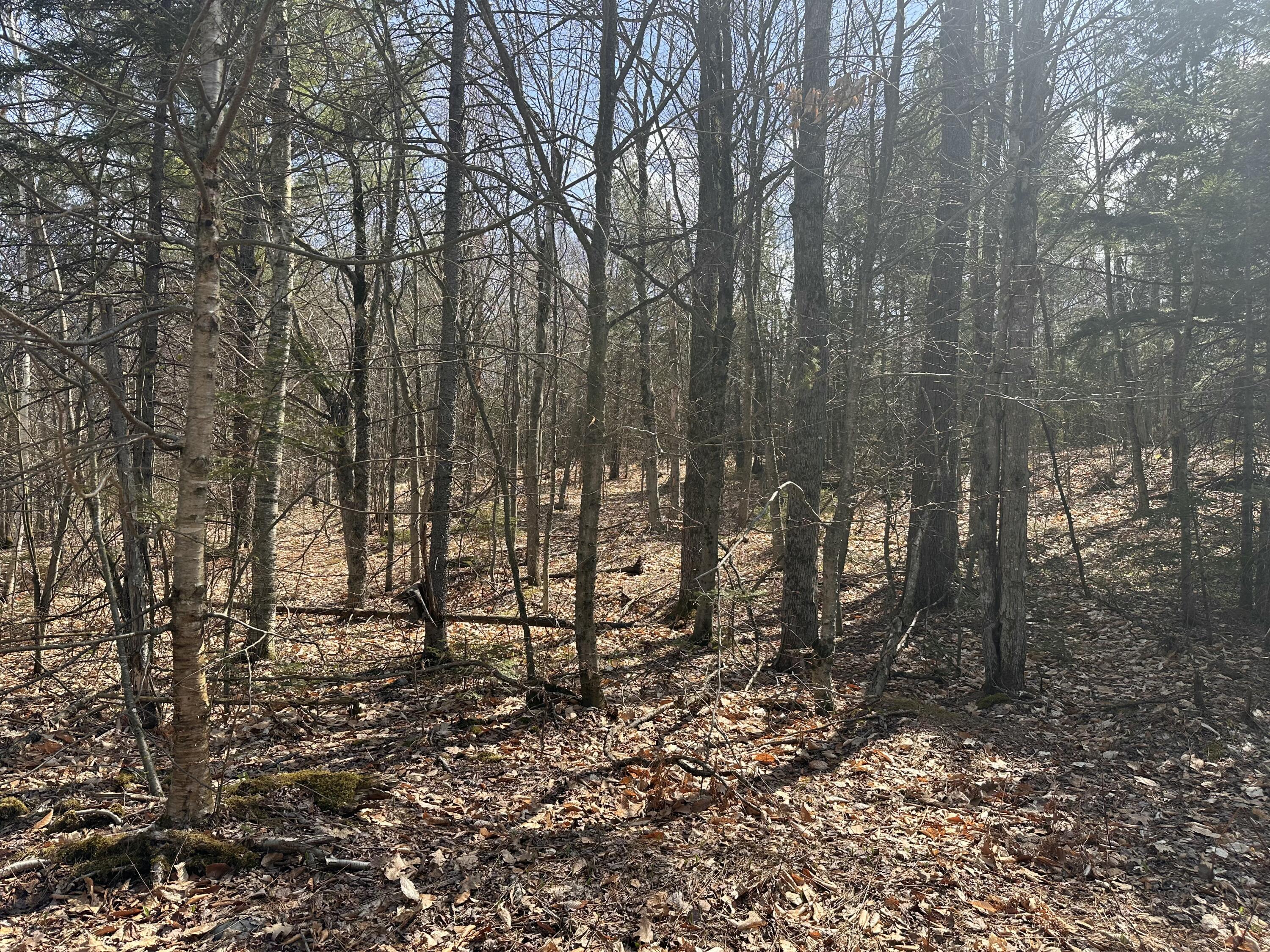 Lot 2 Filaroska Road New Sharon ME 04955