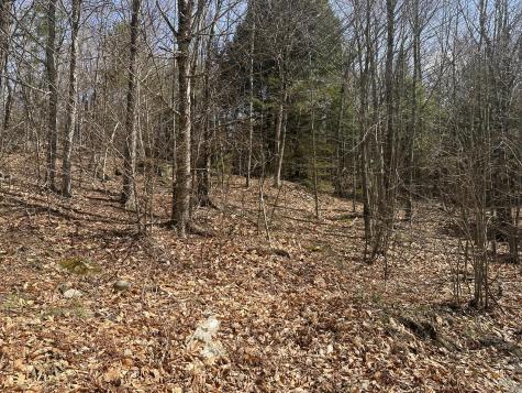 Lot 2 Filaroska Road New Sharon ME 04955