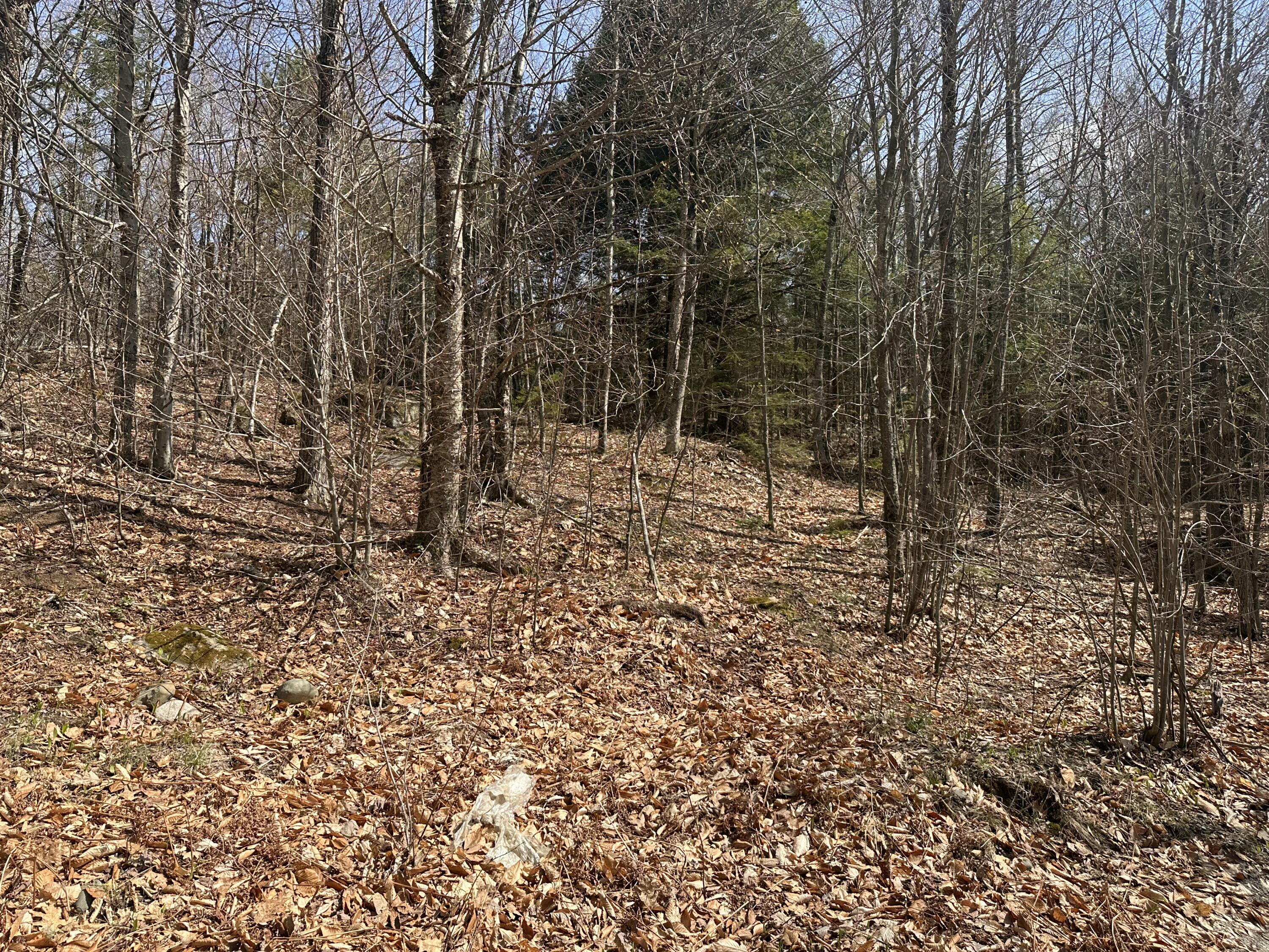 Lot 2 Filaroska Road New Sharon ME 04955