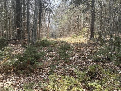 Lot 2 Filaroska Road New Sharon ME 04955