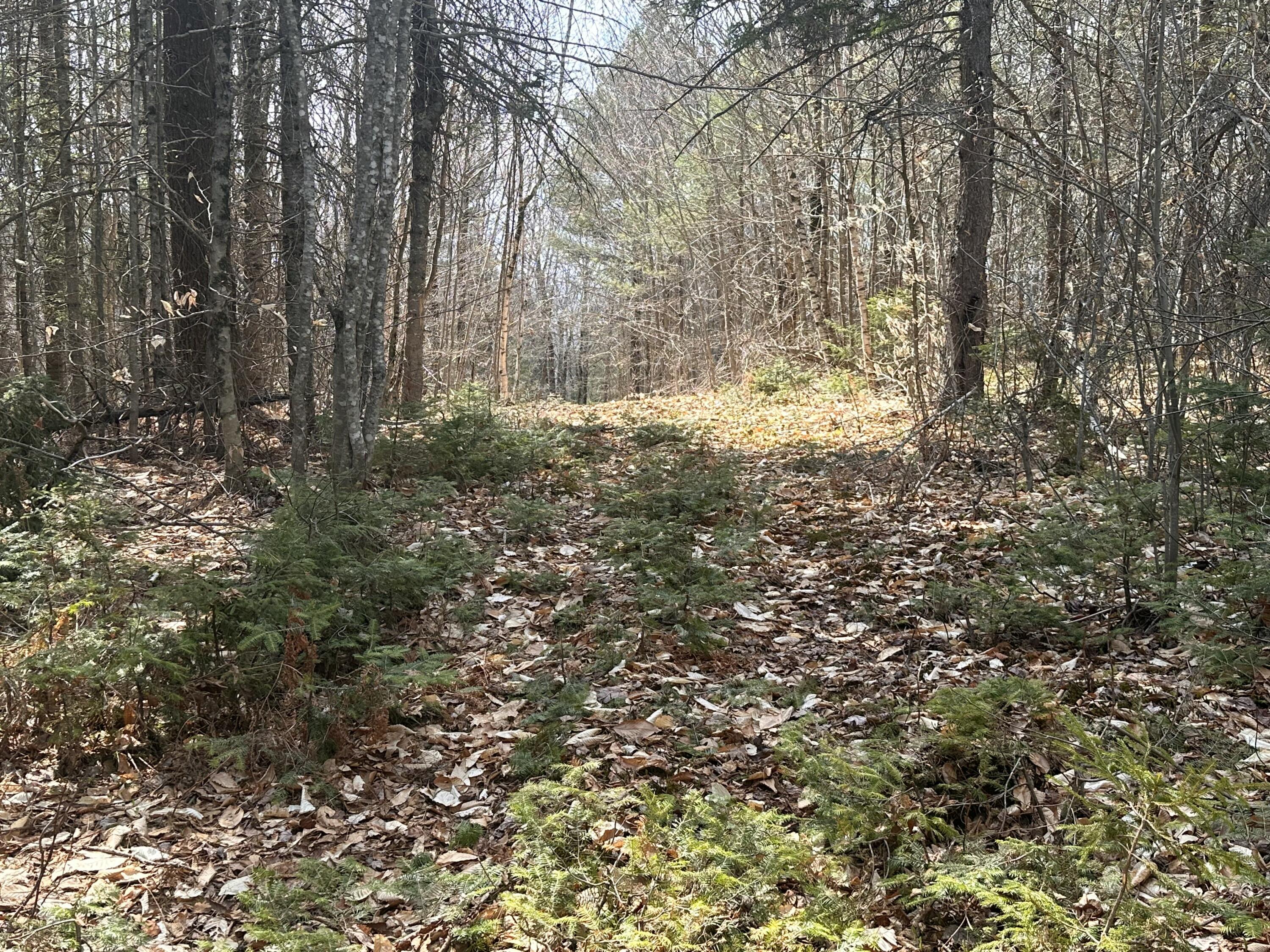 Lot 2 Filaroska Road New Sharon ME 04955