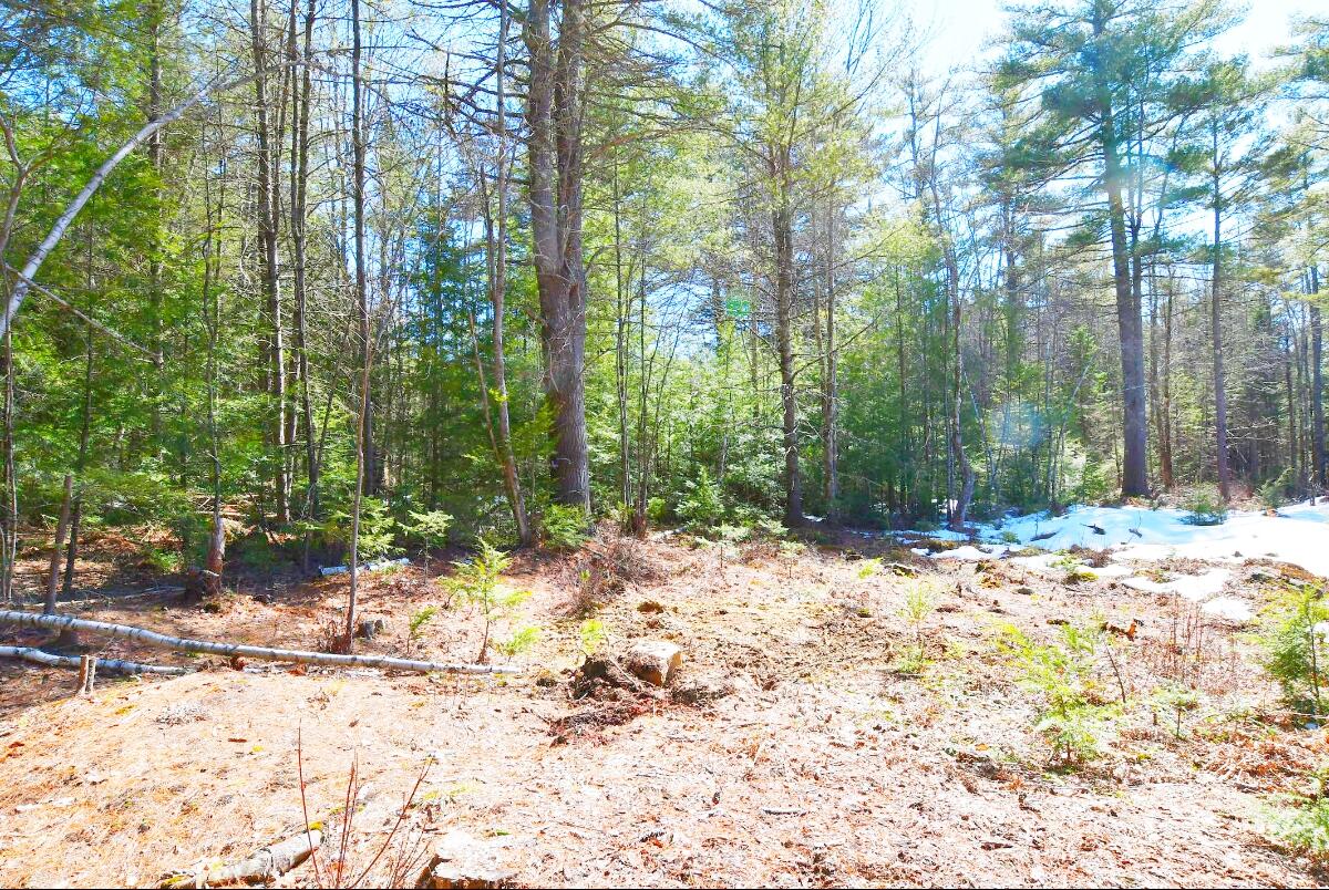Lot 032/6a Mayflower Lane Lebanon ME 04027