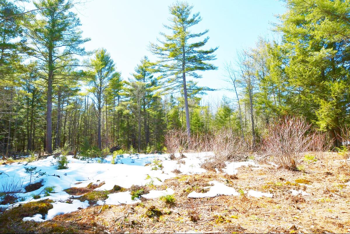 Lot 032/6a Mayflower Lane Lebanon ME 04027