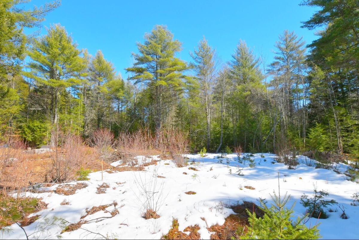 Lot 032/6a Mayflower Lane Lebanon ME 04027