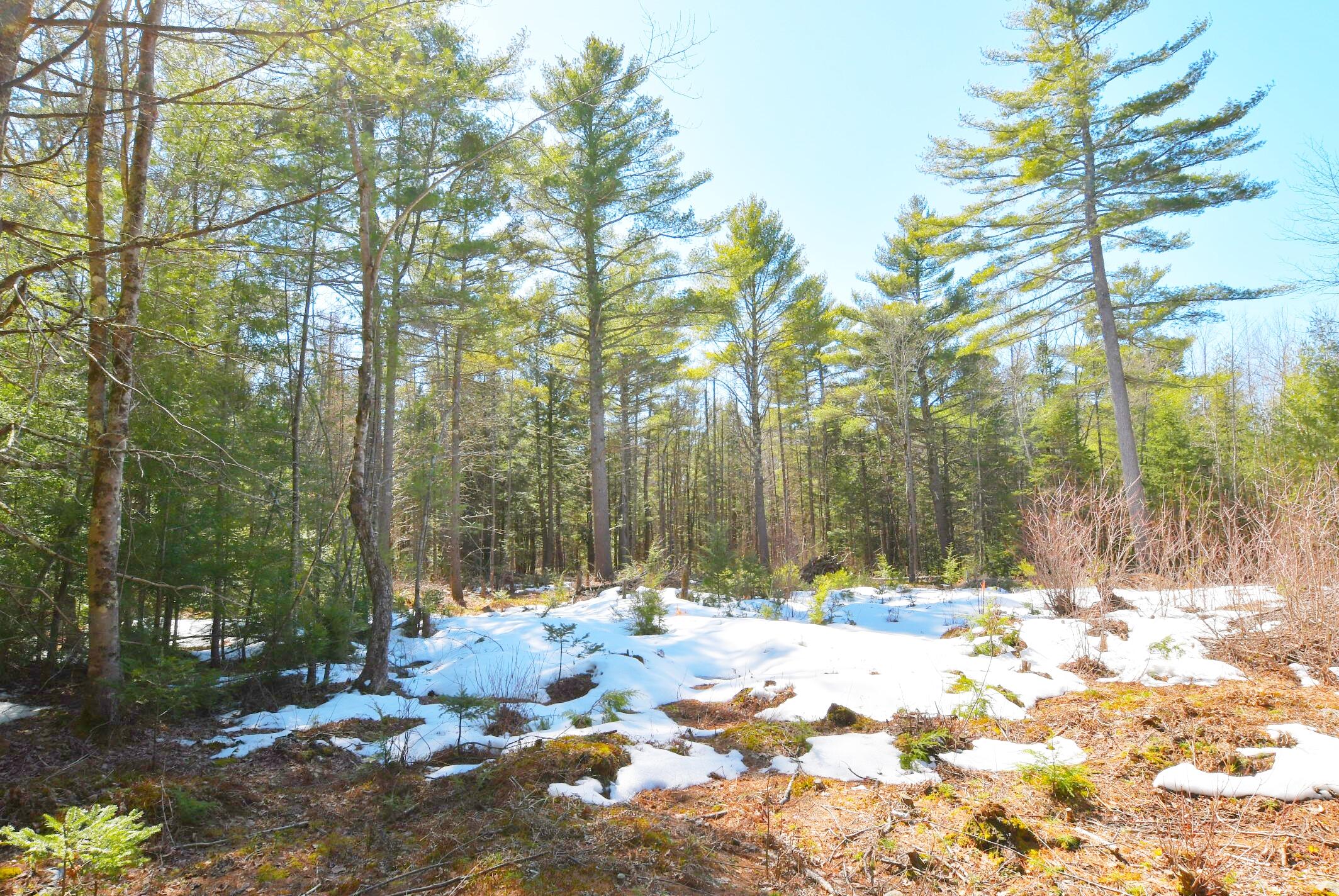 Lot 032/6a Mayflower Lane Lebanon ME 04027