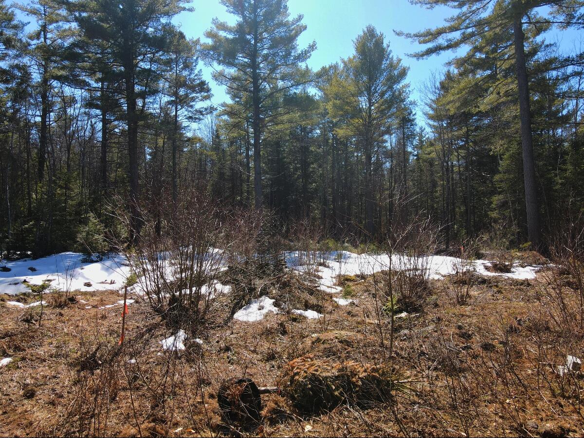 Lot 032/6a Mayflower Lane Lebanon ME 04027