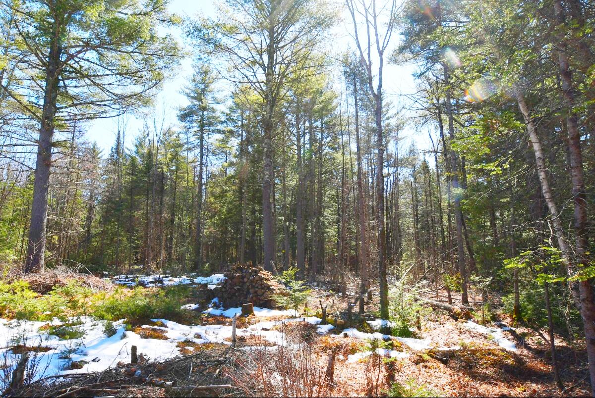 Lot 032/6a Mayflower Lane Lebanon ME 04027