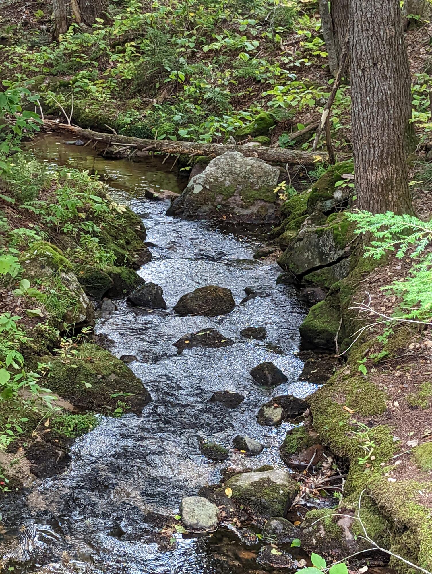 181 Shedd Road Norway ME 04268