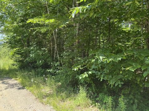 #002-006 Hilltop Lane Princeton ME 04668