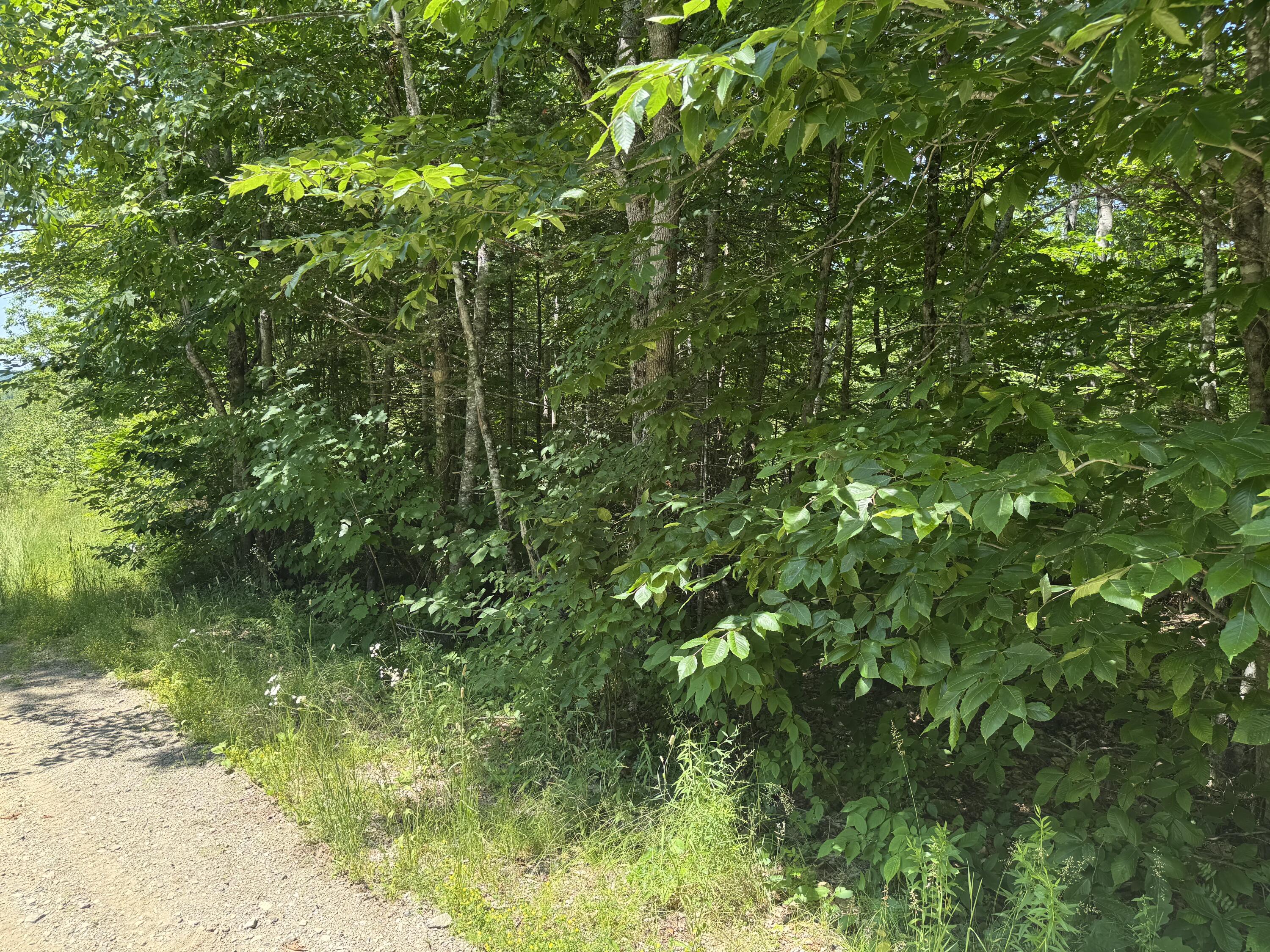 #002-006 Hilltop Lane Princeton ME 04668