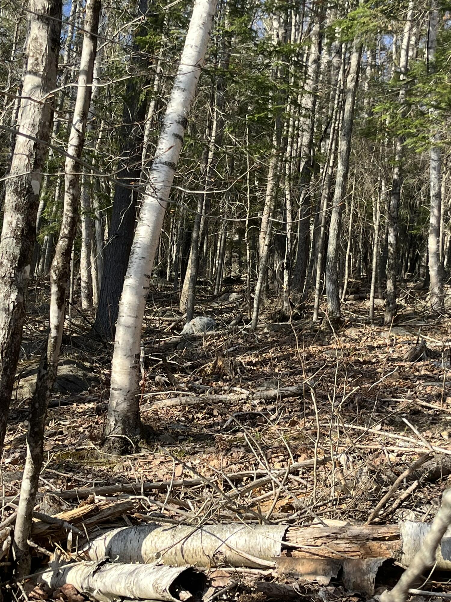 M10L24-2N Us-201 West Forks Plt ME 04985